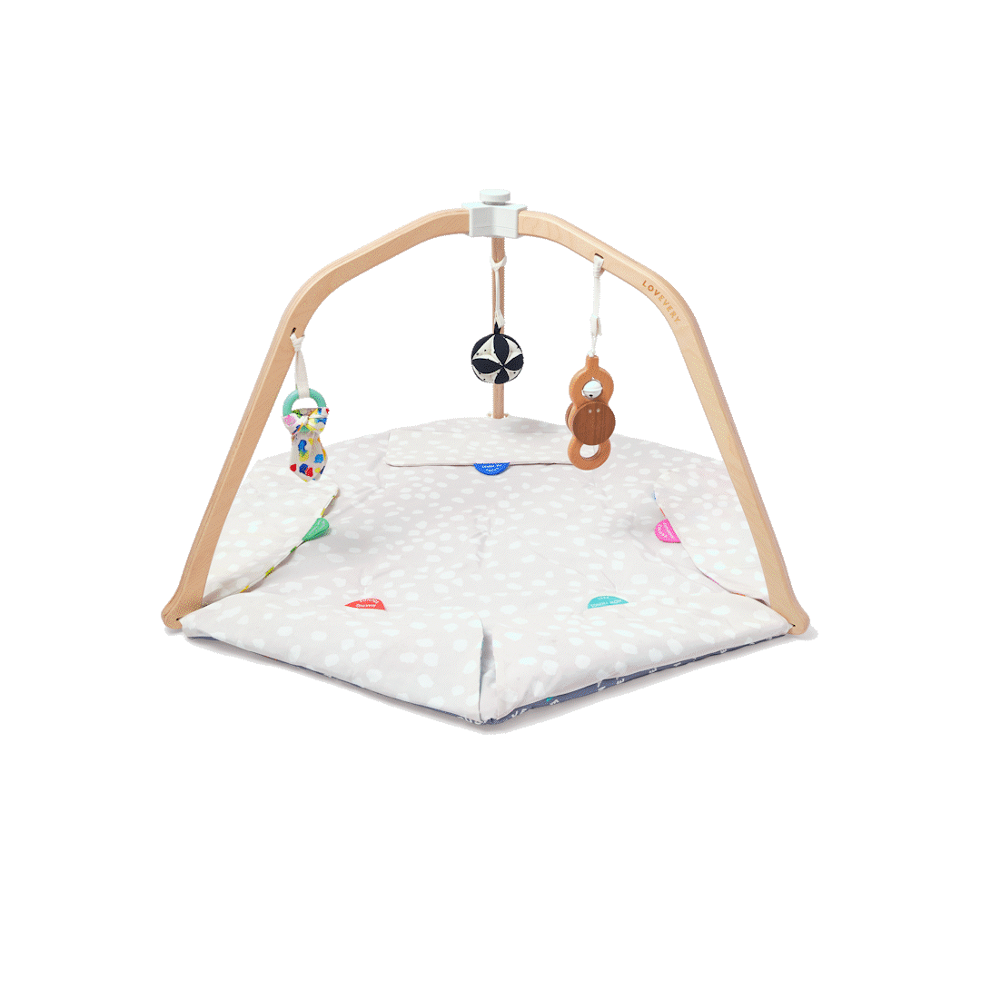 Lovevery The Playgym